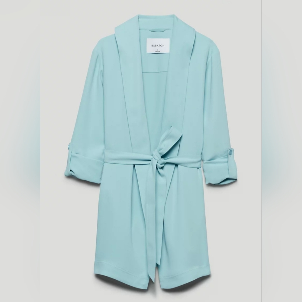 Aritzia Babaton Kahlo Robe Midi with tie